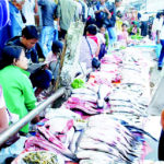 fish bazar