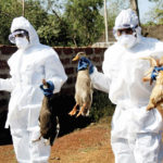Bird flu scare in Orissa