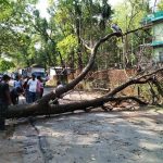 storm 3 garo hills april 17 2019