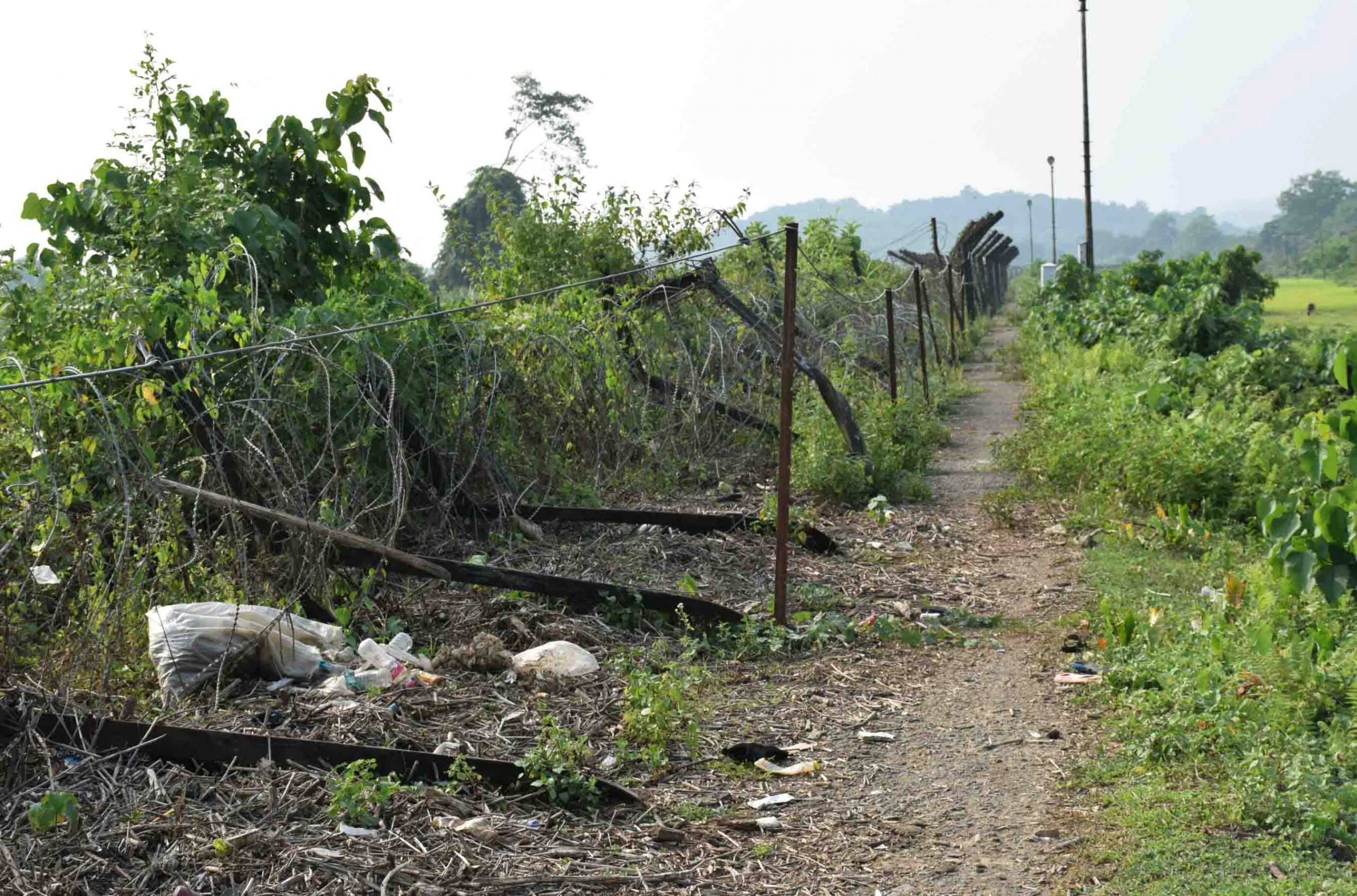 With Curbs Eased Smuggling Rises Along Indo Bangla Border The