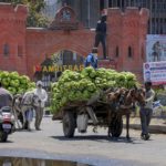 COVID19: Lockdown in Amritsar