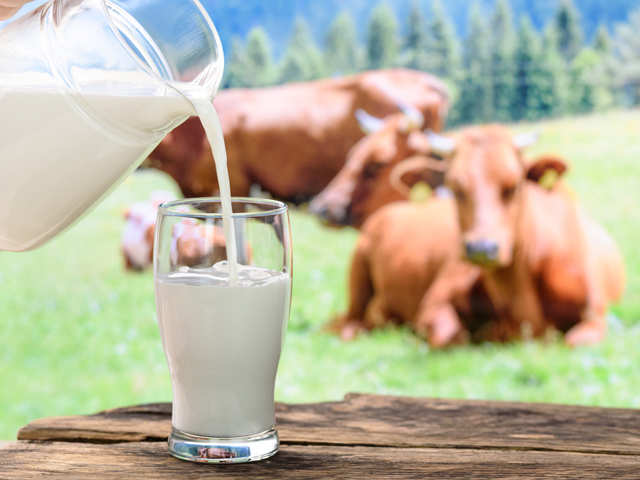 dairy-intake-may-not-prevent-age-related-bone-loss-in-women-study