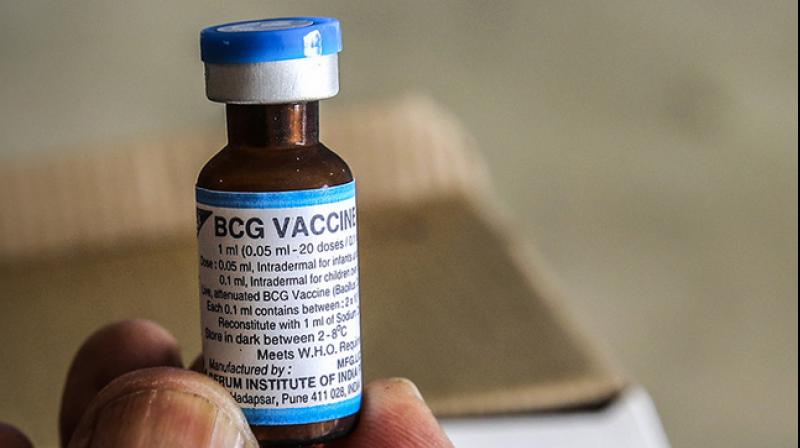 mandatory-bcg-vaccination-linked-with-slower-covid-19-growth-the