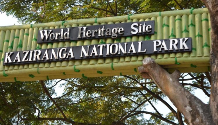 Kaziranga National Park re-opens for tourists on Oct 21 - The Shillong ...