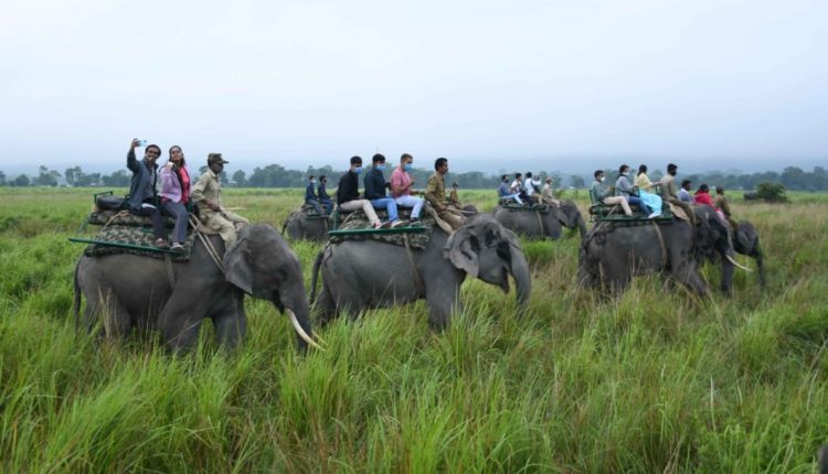 Tourists enjoy the elephant safari at Kohora range of the Kaziranga National Park on Sunday.