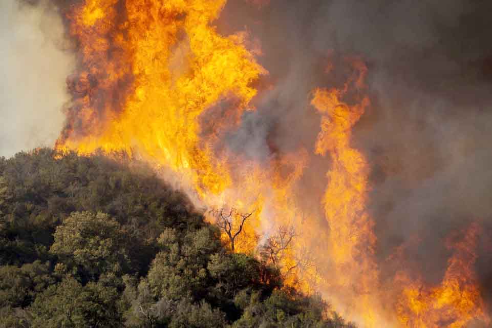 Greenhouse gas, air pollution cause distinct regional impacts on fire ...