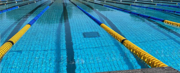 6 golds for Assam in swimming - The Shillong Times