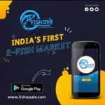 fish app