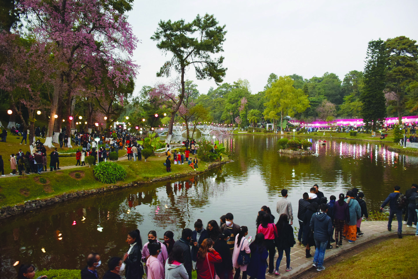 People Throng The Scenic Wards Lake On The Final Day Of Cherry Blossom