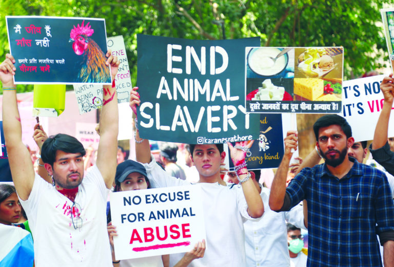 Animal rights activists and vegans during a protest as part of the Animal Liberation March.