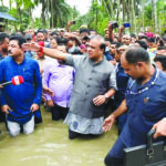 Himanta