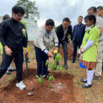 tree plantation