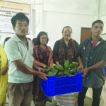 black pepper saplings being distributed to beneficiaries at Ampati