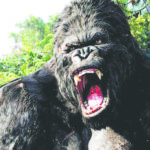 Live-action ‘King Kong’ origin series in early development.