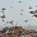 landfill-site-in-ghazipur_833d86f2-a234-11e8-9345-8d51f8ed9678