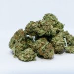marijuana