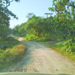 road 2