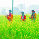 Baul Mela in Birbhum