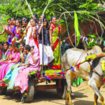 Pongal celebrations in Chennai