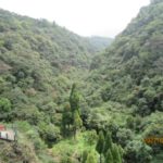 XV – 3.0 View enroute to Dawki