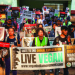 Protest for Animal Rights
