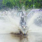 Weather: Rains in Bhubaneswar