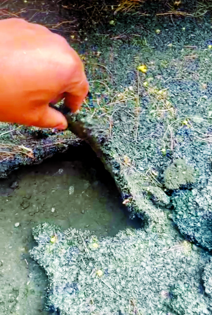 Citizen exposes slipshod road repair work in city The Shillong Times