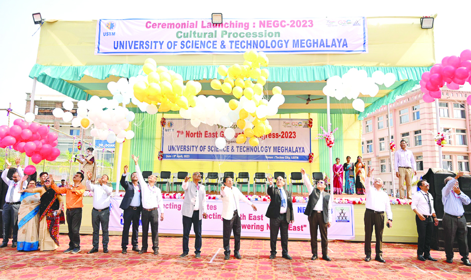 ustmprograme copy