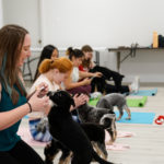 PuppyYoga_321