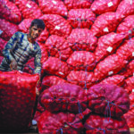 Unloading of onions at vegetable market