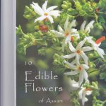 Porompora Edible flowers of Assam copy