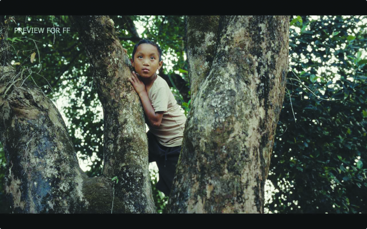 Rapture wins Asia Pacific Screen Cultural Diversity Award - The