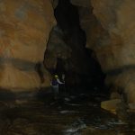 Caves of Meghalaya is a unique ecosystem and potentially hold many yet to be discovered species