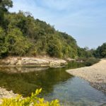 Rongon East Garo Hills
