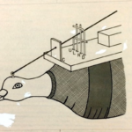 BF Skinner’s drawings of Project Pigeon